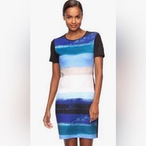 Reed Striped Short Sleeve Sky Blue & Black Fitted Stretch Sheath Dress SzXL